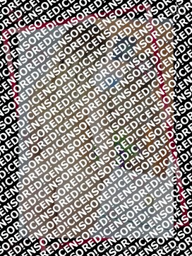 BETTY EROTICAS VIP - Escort lady Cali 11