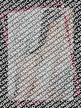 CARLA EROTICAS VIP - Escort lady Bogotá 12