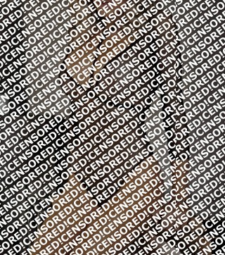 MADISON - Escort lady Vienna 2