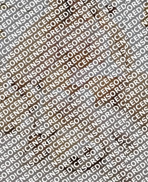 MADISON - Escort lady Vienna 5