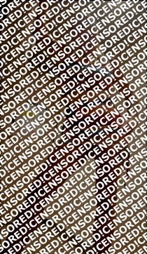 dream couple - Escort couple New York City 3