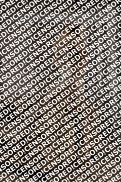 Helena - Escort lady Munich 4