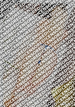 MIKAEKA EROTICAS - Escort lady Bogotá 12