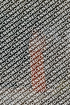 Dana - Escort lady Cologne 2