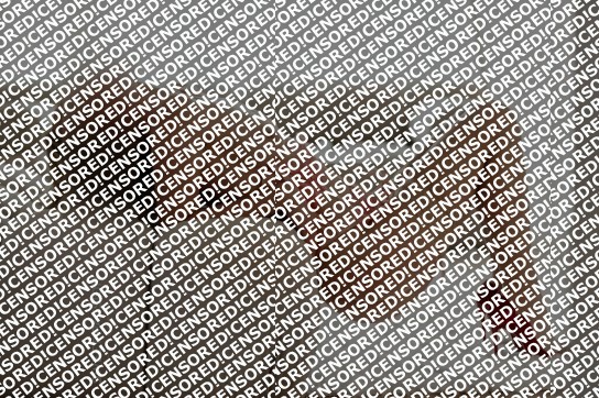 Alicia - Escort lady Hamburg 3