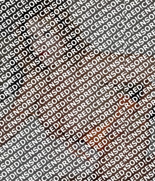 PAMELA FOX - Escort trans Strasbourg 6