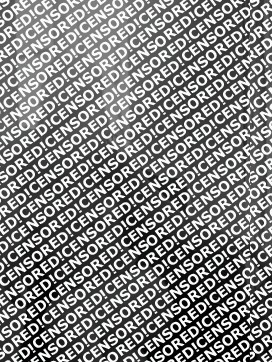 Anouk - Escort lady Paris 4