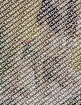 Estela Nunes - Escort lady Lisbon 7