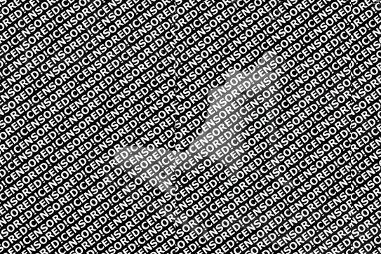 Melli - Escort female slave / maid Freiburg 2