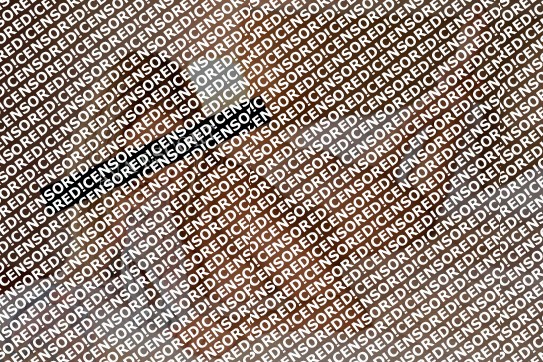 Vanessa - Escort lady Munich 4