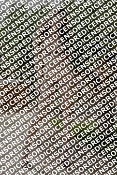 Ellie - Amorette International - Escort lady Miami FL 8