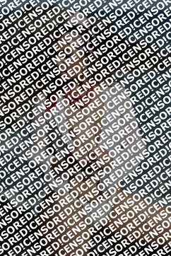 FIORELLA - Escort lady Munich 2