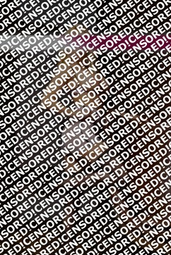 Sina - Escort lady Nuremberg 4