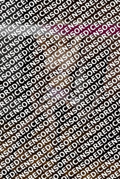 Sina - Escort lady Nuremberg 6