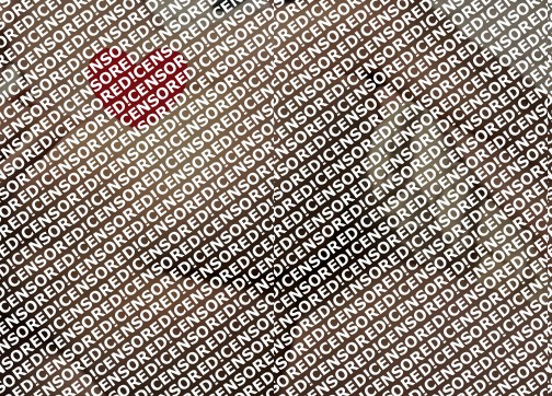 Iviee and Thomas - Escort couple New York City 2