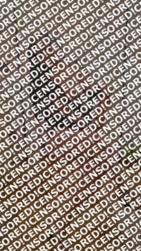 Florzinha - Escort lady Rho 2