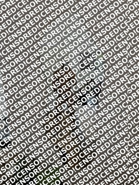 AlexanderXL - Escort gay Amsterdam 4