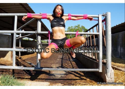 Thyffany Young - Escort female slave / maid Berlin 2