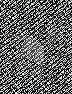 Maika Property - Escort female slave / maid Bremen 2