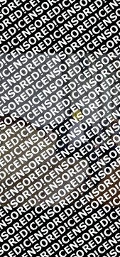 liga - Escort mens Kiev 4