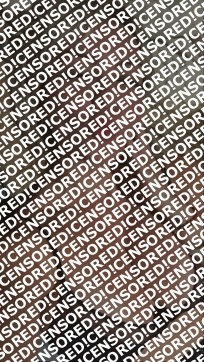 Nicole - Escort lady Houston 2