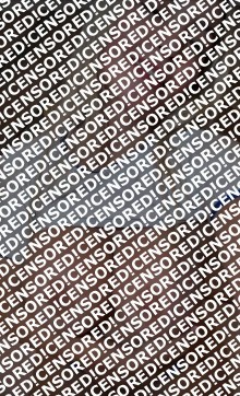 Nicole - Escort lady Houston 3