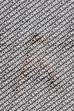 Himmel der Sklavinnen - Escort female slave / maid Chemnitz 2