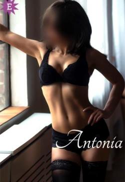 Antonia - Escort ladies Frankfurt 1