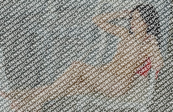 Elina - Escort lady Saint Petersburg 3