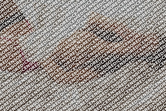 Alexa - Escort lady Dresden 5