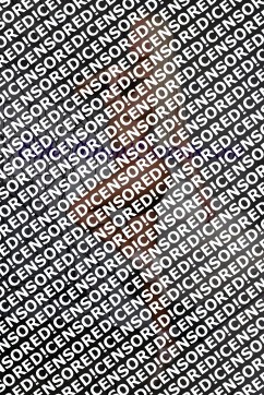 Carina - Escort lady Miami FL 3