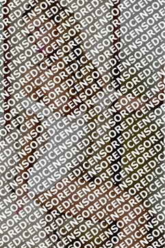 Erika - Escort lady Amsterdam 2