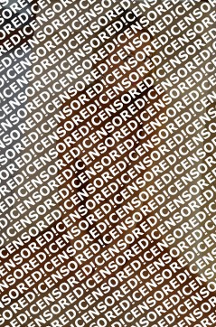 Diana - Escort lady Amsterdam 2