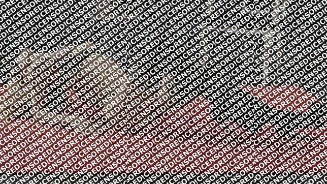 Nicole Aguiar - Escort lady Porto 10