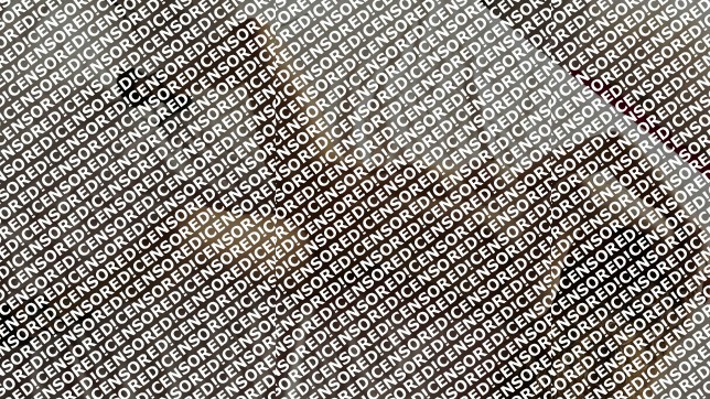 Nicole Aguiar - Escort lady Porto 11