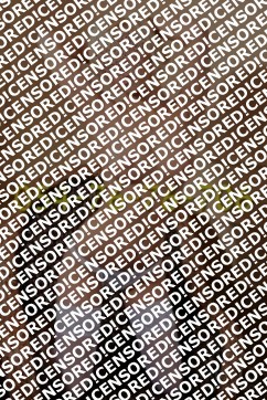 Alina - Escort lady Moscow 2