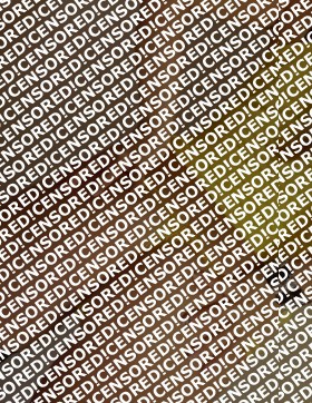 Sona - Escort lady Prague 5