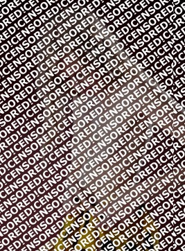 Larissa - Escort lady Moscow 2