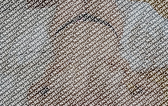 Salome Rodrigues - Escort lady Porto 4