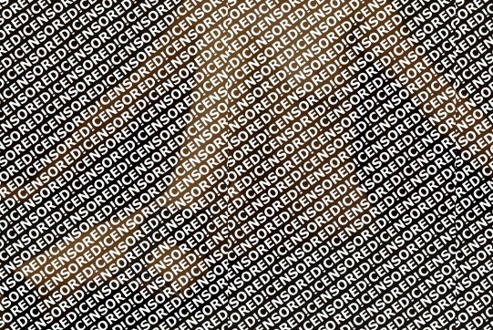 Sofia - Escort lady Sofia 3