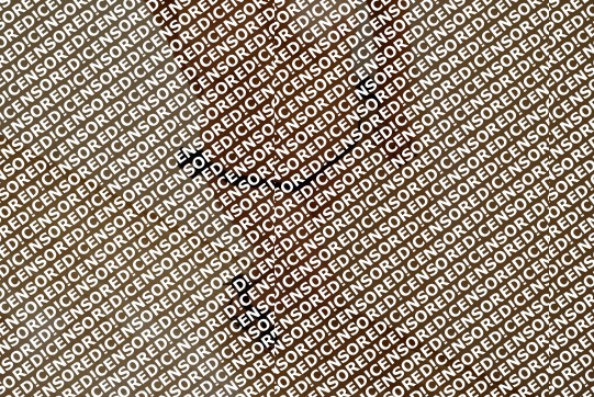 Sofia - Escort lady Sofia 4