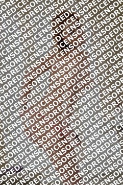 Michelle - Escort lady Vienna 3