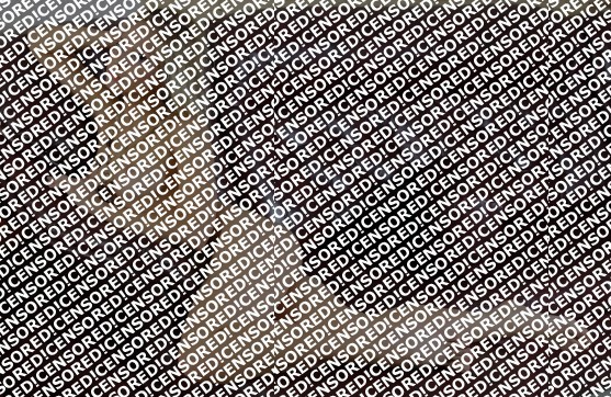 Anita - Escort lady Paris 3