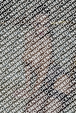 Larissa - Escort lady Paris 2