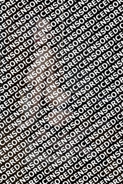 Larissa - Escort lady Paris 5