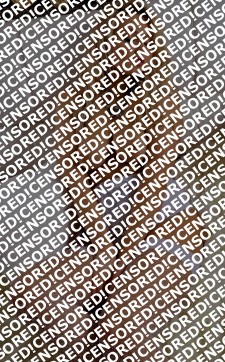 Arina - Escort lady Singapore City 3