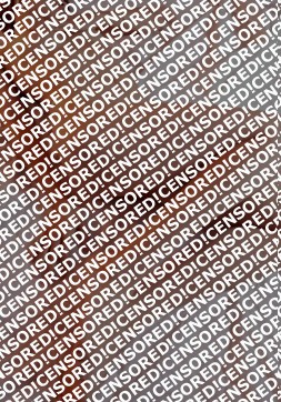 Xinxin - Escort lady Peking 2