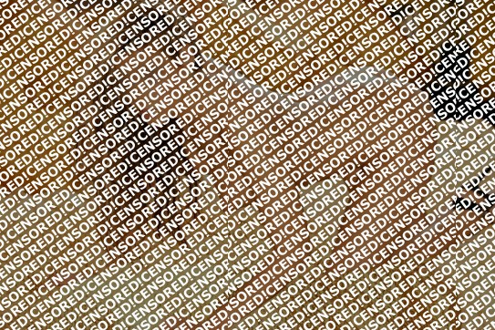 Lionese Paris - Escort lady Paris 3