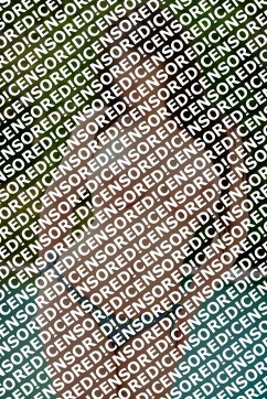 Fernanda - Escort lady London 5