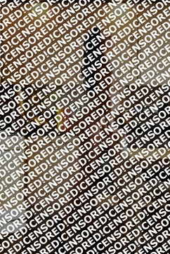 Amber - Escort lady London 2